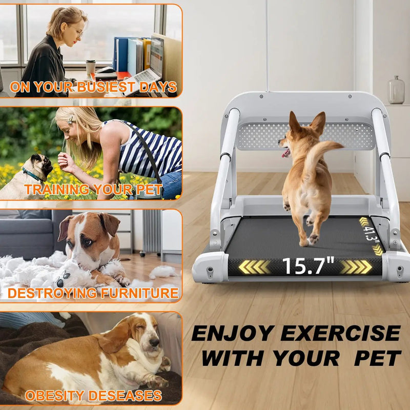 2025 New Quiet Smart Pet Treadmill by HouseOfZazla
