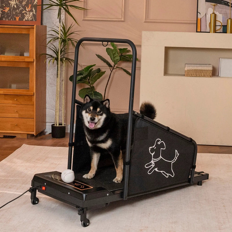 Dog Treadmill For Medium Dogs Running Machine With Non Slip Belt And Remote Control - Black by HouseOfZazla