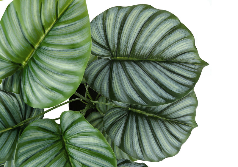 24" Tall Artificial Calathea Plant with Real-Touch Leaves - Green, photo 4 of 4