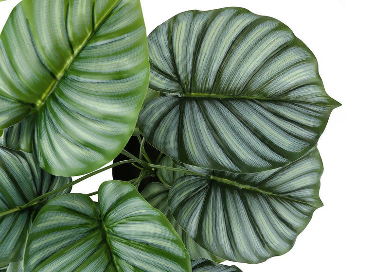 24" Tall, Artificial Plant, Calathea, Indoor, Faux, Fake, Table, Greenery, Potted, Real Touch, Decorative - Green / Black by Unique Piece Furniture