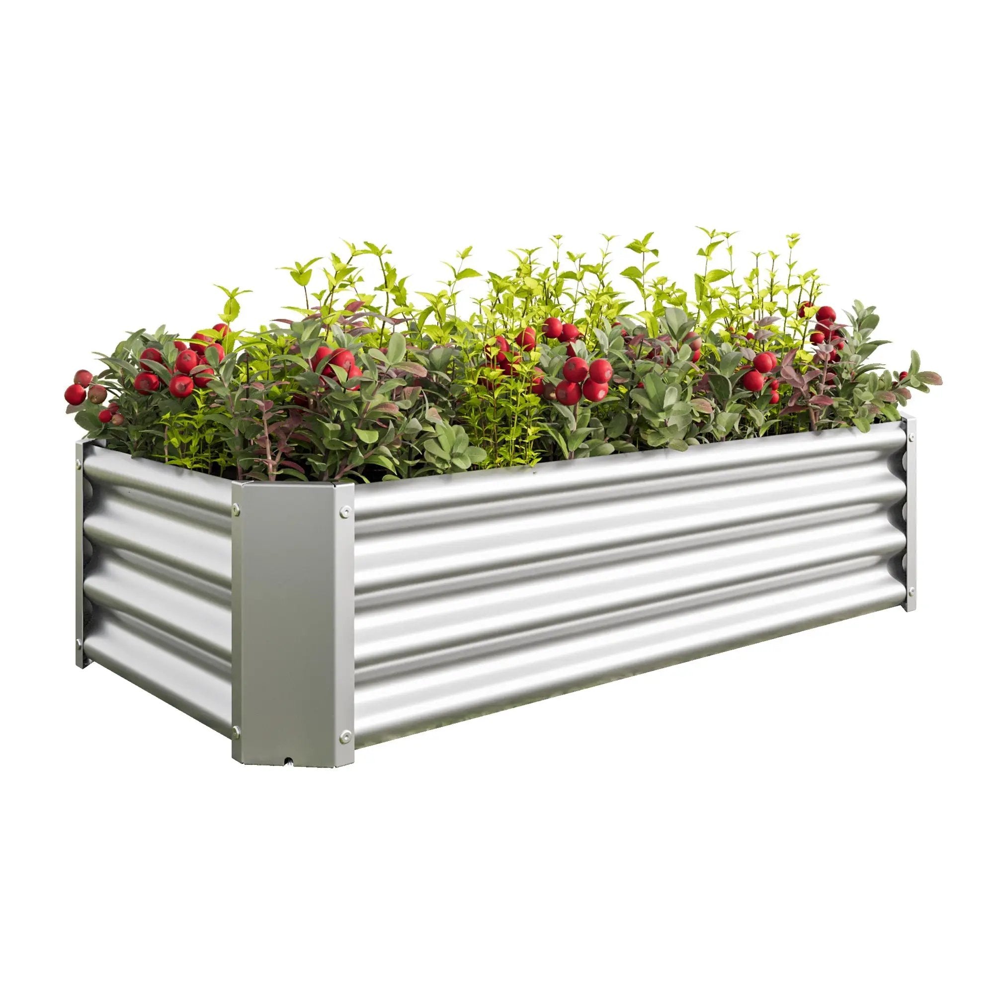 Metal Raised Garden Bed 4x2x1 ft by HouseOfZazla