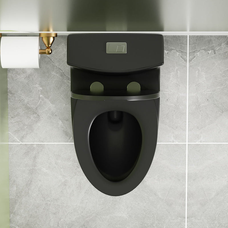 1 Piece Toilet With Dual Flush And Soft Closing Seat by HouseOfZazla