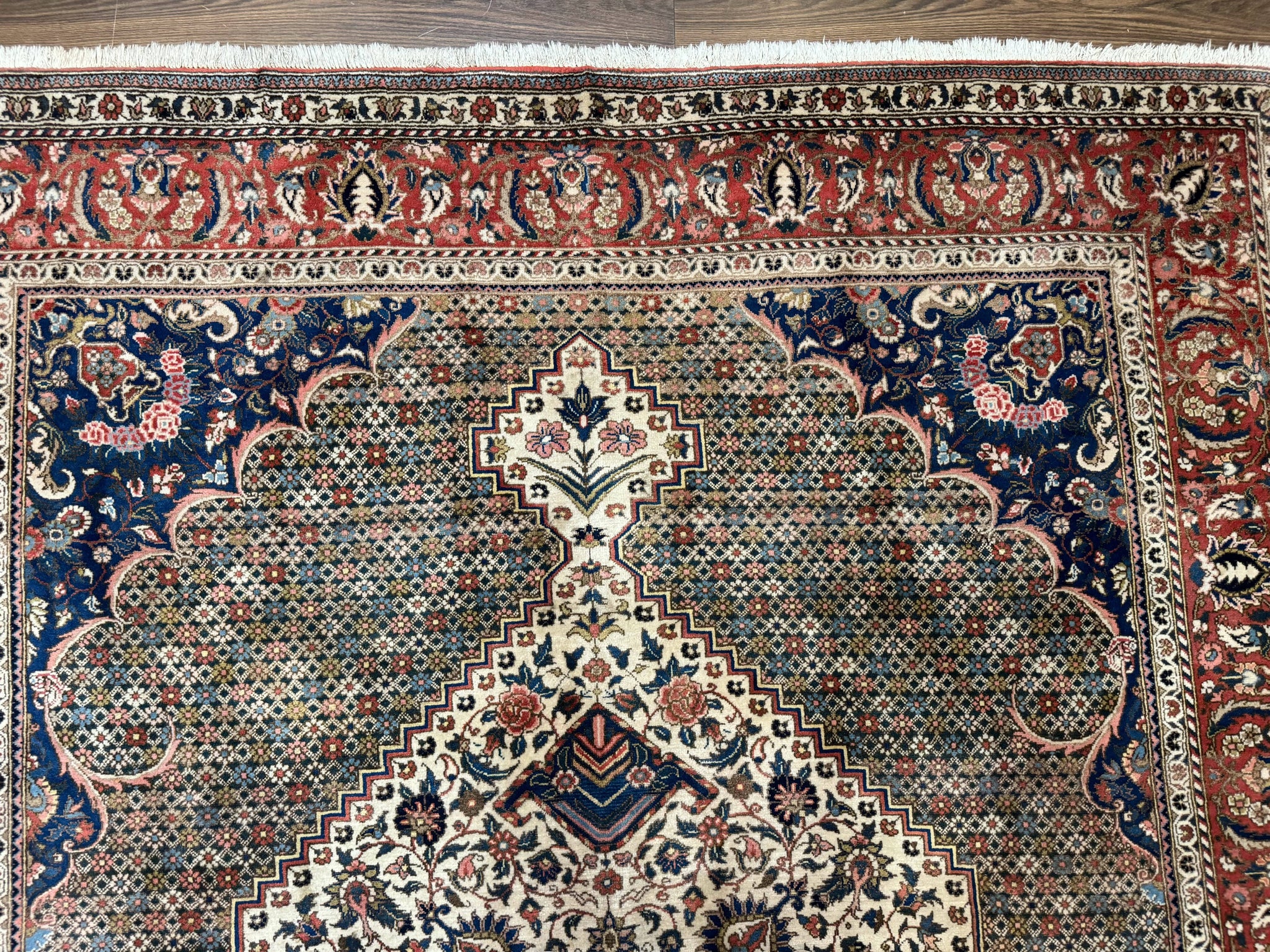 Persian Rug 7x10, Bakhtiari Saman Rug, Unique Design and Colors, Ivory Red Blue, Large Tribal Rug by Jewel Rugs