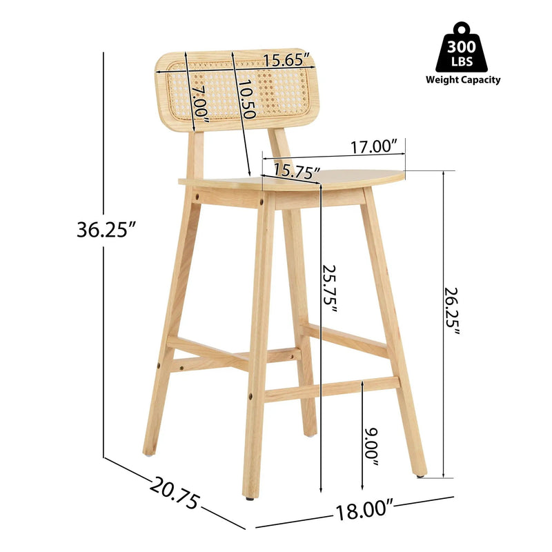 Bari Indoor Wood Barstool (Set of 2) by HouseOfZazla