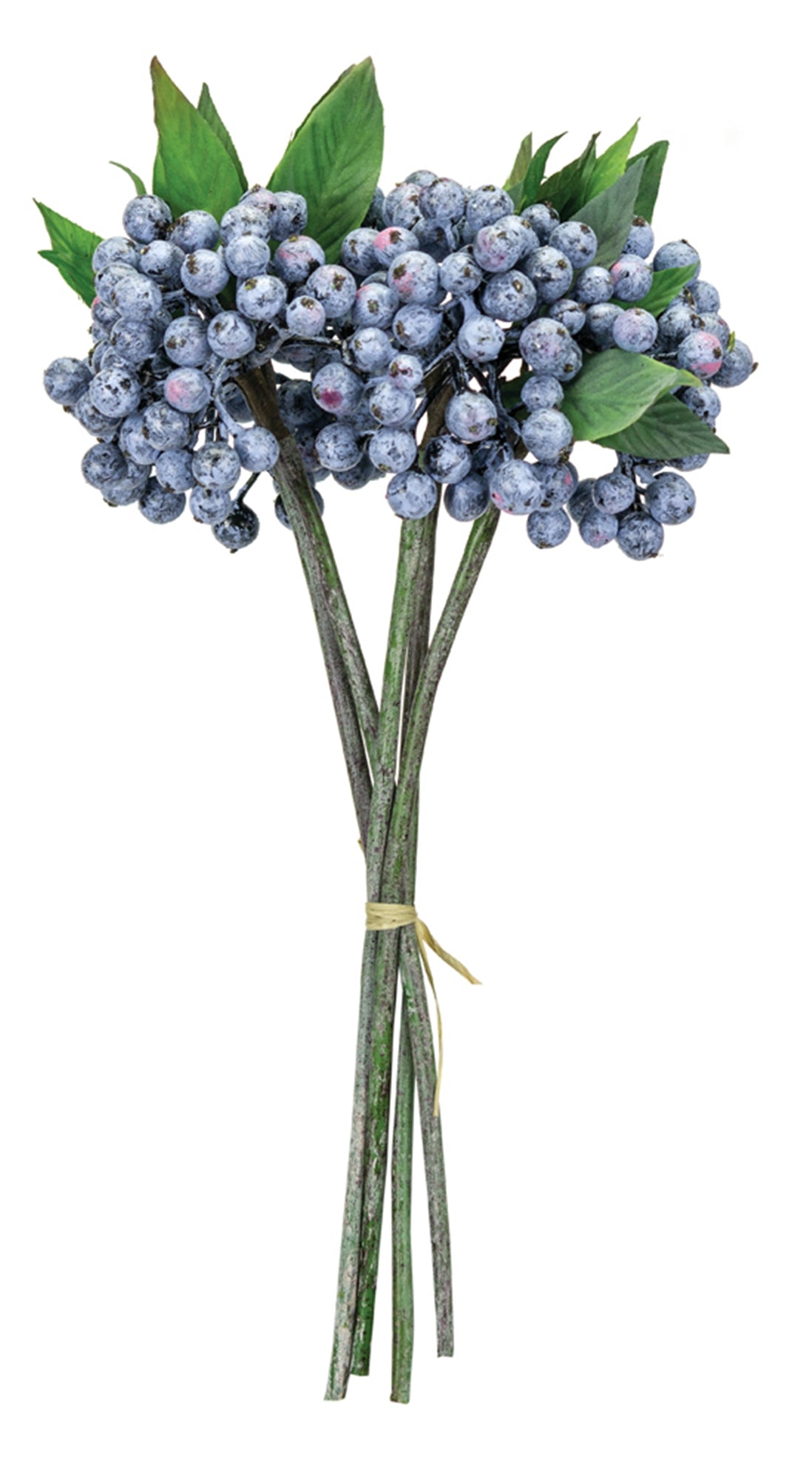 Blue Berry Foliage Bundle (Set of 12), photo 2 of 2