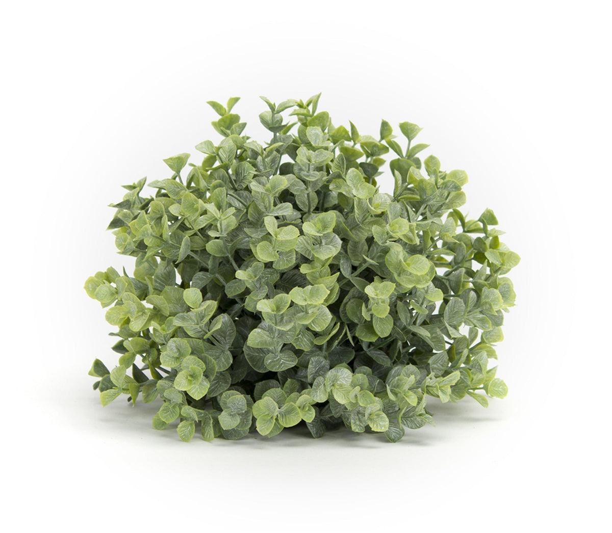 Spring Boxwood Foliage Half Orb (Set of 6), photo 2 of 2