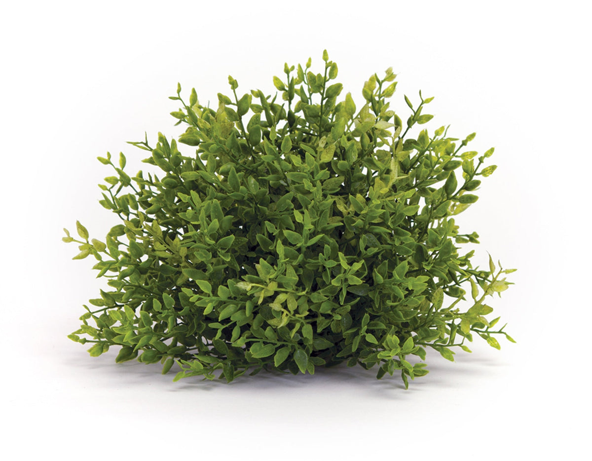 Spring Mini Leaf Foliage Half Orb (Set of 6), photo 2 of 2