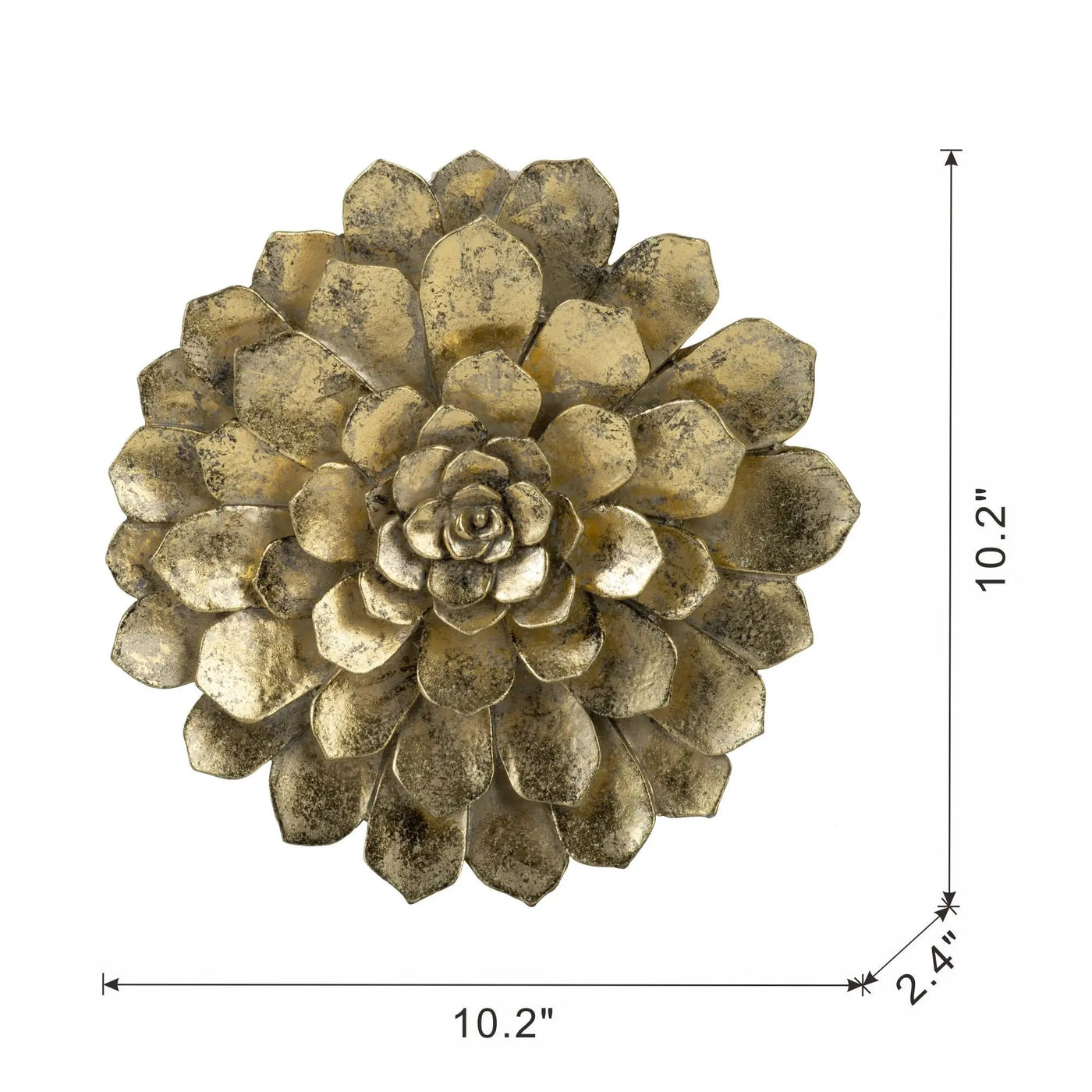 Succulent Wall Plaque by HouseOfZazla