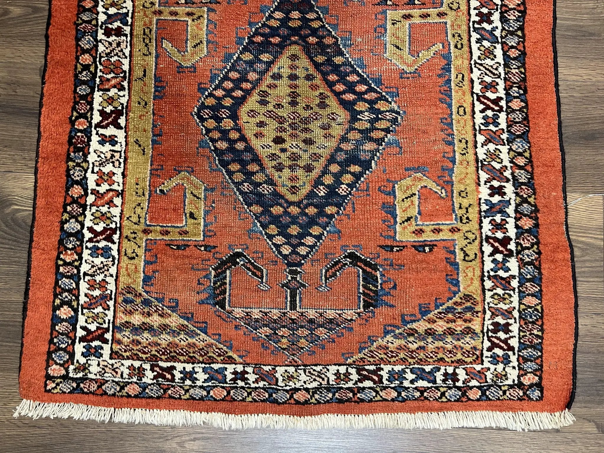 Rare Persian Tribal Runner Rug 3 x 11, Sarab Serab Persian Runner, Antique 1920s Collectible Geometric Medallions Oriental Wool Runner, Hand Knotted, Bright Orange-Red by Jewel Rugs