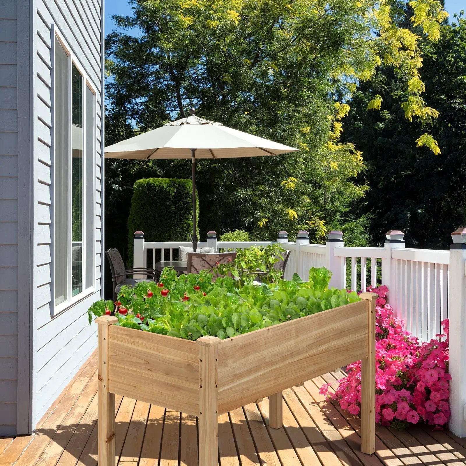 Wooden Raised Vegetable Garden Bed Elevated Grow Vegetable Planter by DirectDeals