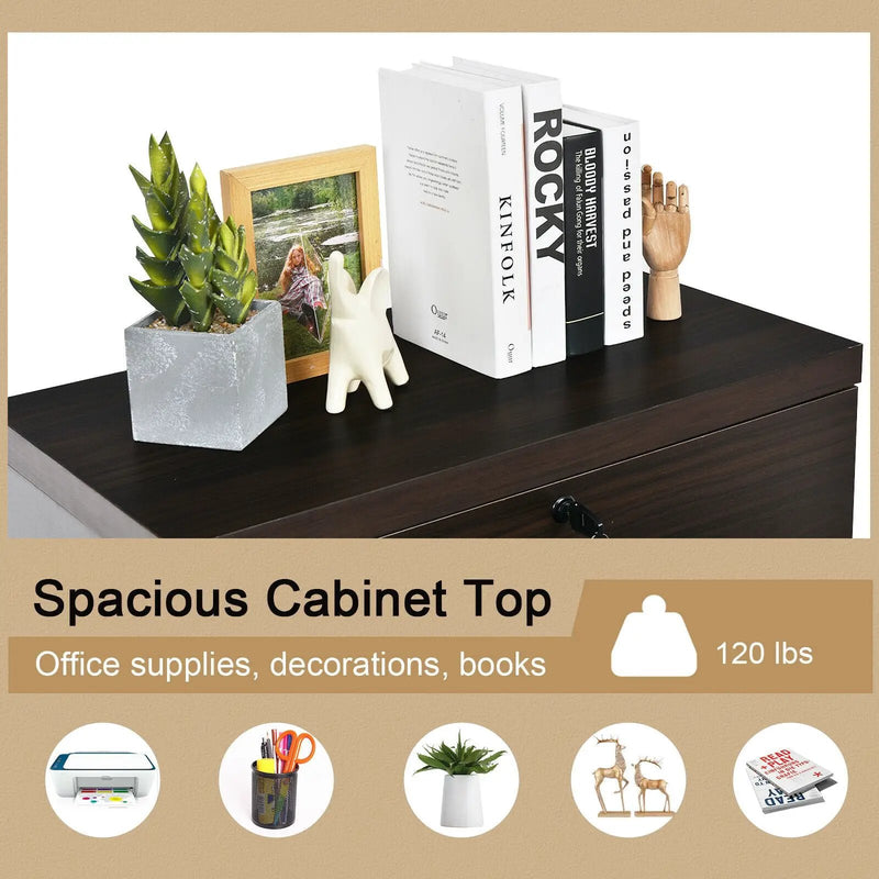 2-Drawer File Cabinet with Lock Hinging Bar Letter and Legal Size by DirectDeals