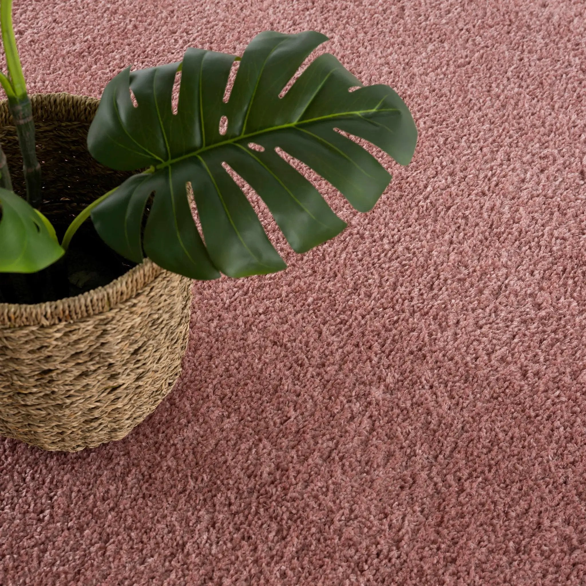 Judy Pink Plush Washable Area Rug - Clearance by Boutique Rugs