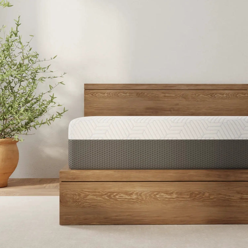 Omne Fria 12 Inch Queen Soft Mattress With Cooling Cover by HouseOfZazla