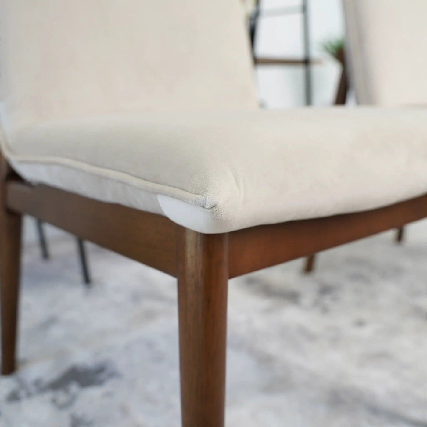 Monza - Contemporary Dining Chair (Set of 2) by HouseOfZazla