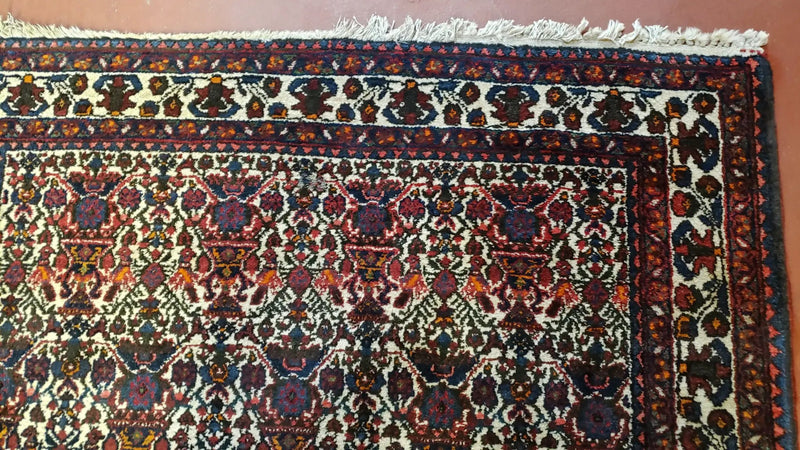 Persian Afshar Rug 3.6 x 5, Zili Sultan Pattern, Wool by Jewel Rugs