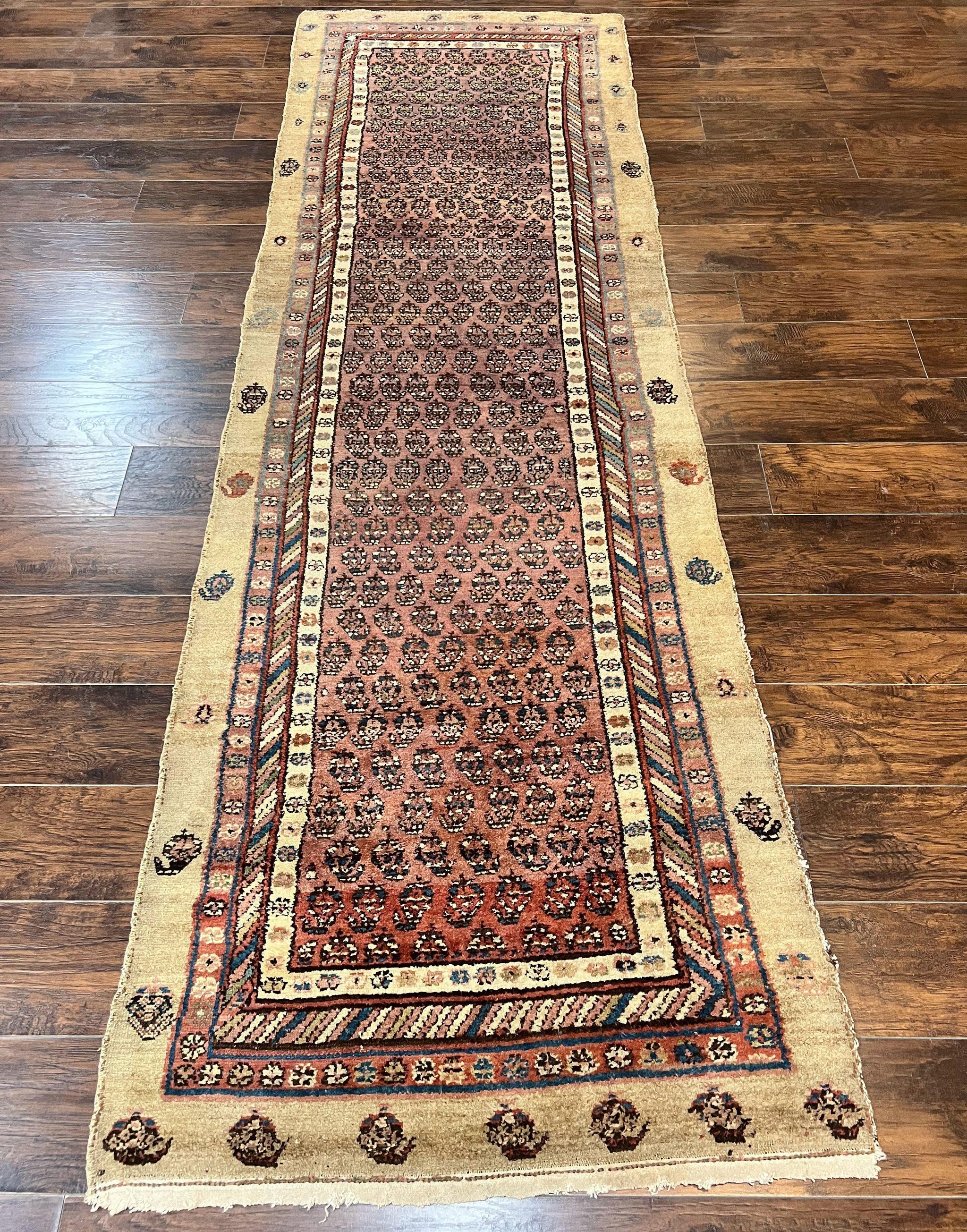 Antique Persian Sarab Runner Rug 3x11, Wool Camel Hair, Tribal Carpet for Hallway 3 x 11, Antique 1920s Rug, Handmade by Jewel Rugs