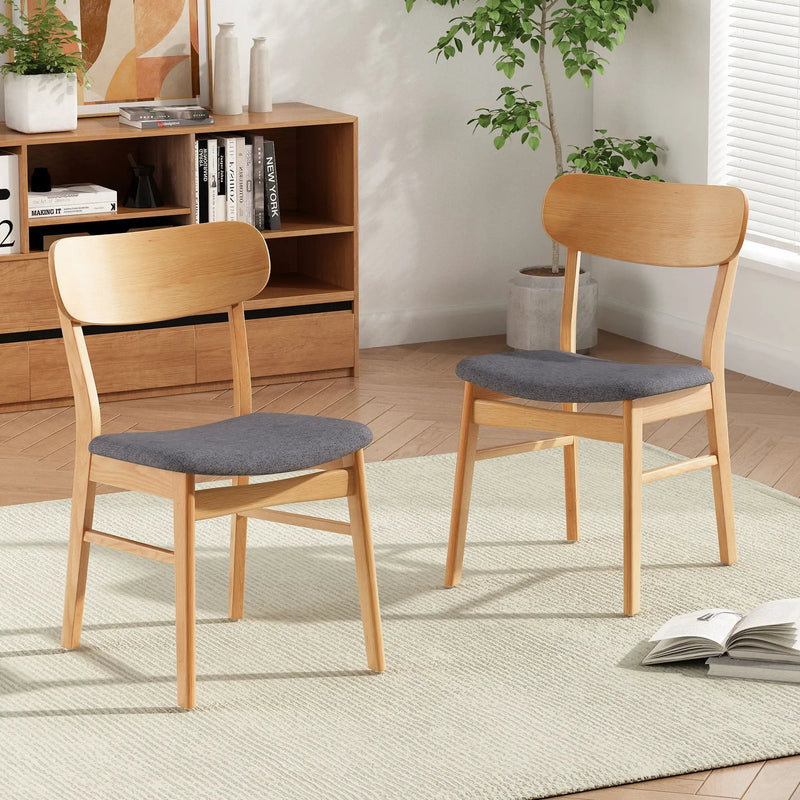 Brilliantine - Dining Chair With Cushion And Wood Frame (Set of 2) by HouseOfZazla