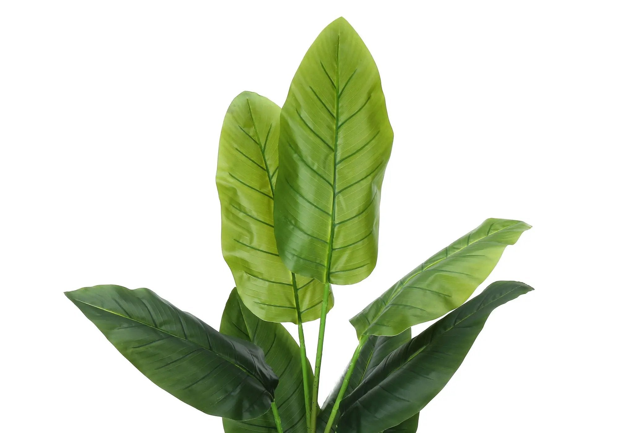 59" Tall, Artificial Plant, Strelitzia Tree, Indoor, Faux, Fake, Floor, Greenery, Potted, Real Touch, Decorative - Green / Black by Unique Piece Furniture