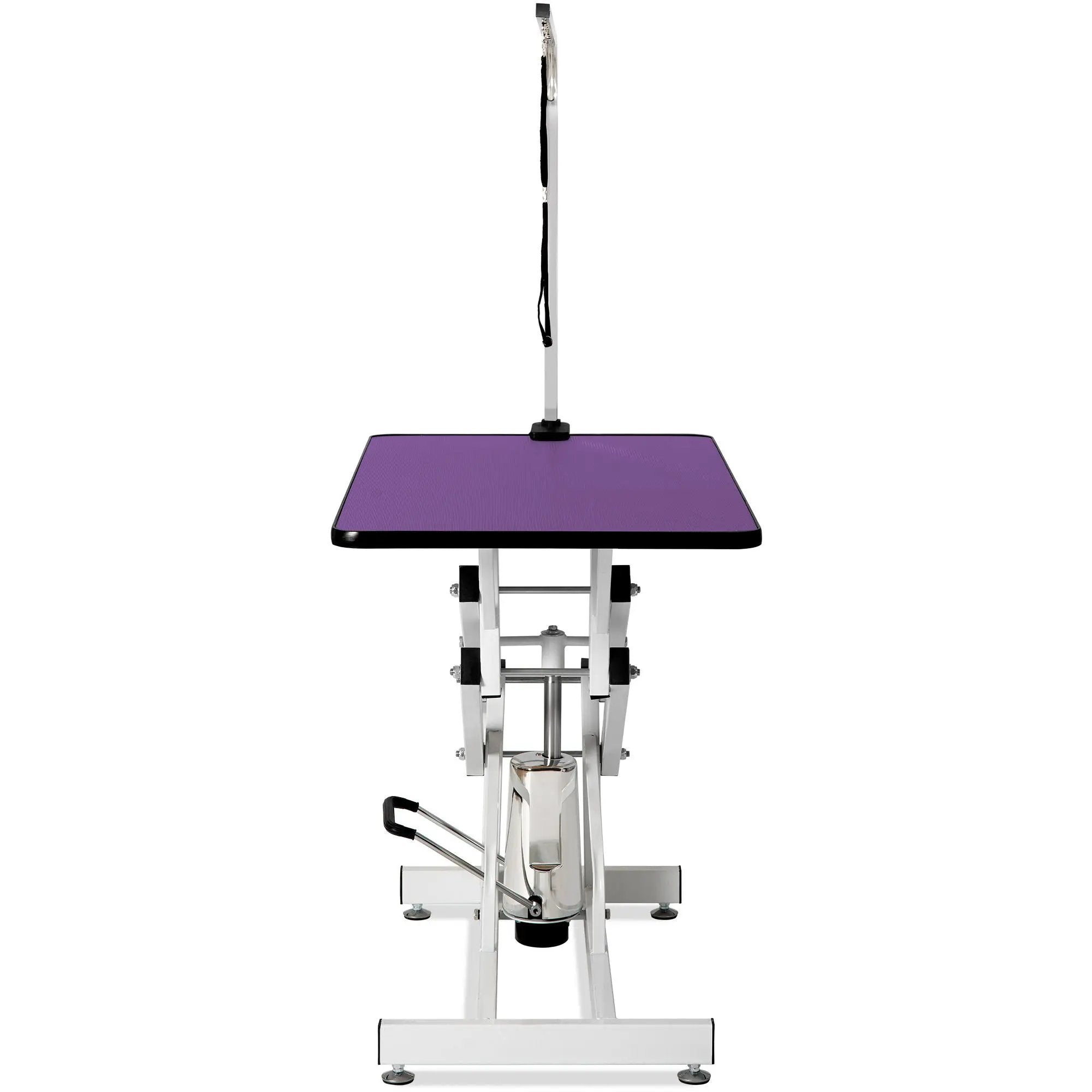 Hydraulic Pet Grooming Table by HouseOfZazla