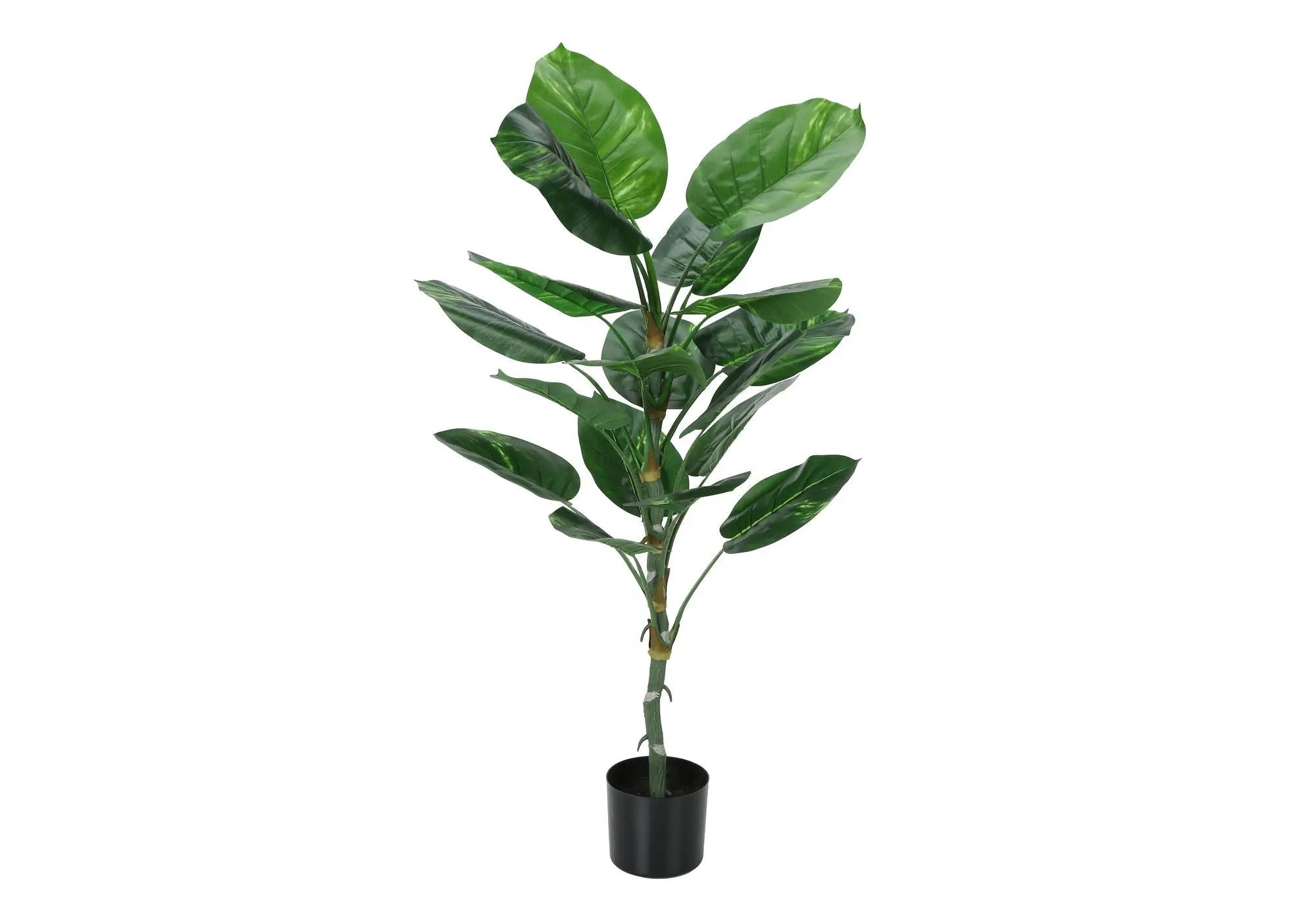 54" Tall, Artificial Plant, Dieffenbachia Tree, Indoor, Faux, Fake, Floor, Greenery, Potted, Real Touch, Decorative - Green / Black by Unique Piece Furniture