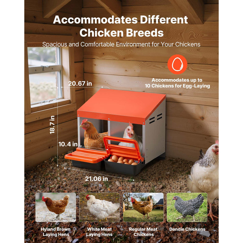 Chicken Nesting Boxes, 2 Compartments, Easy Egg Collection by HouseOfZazla