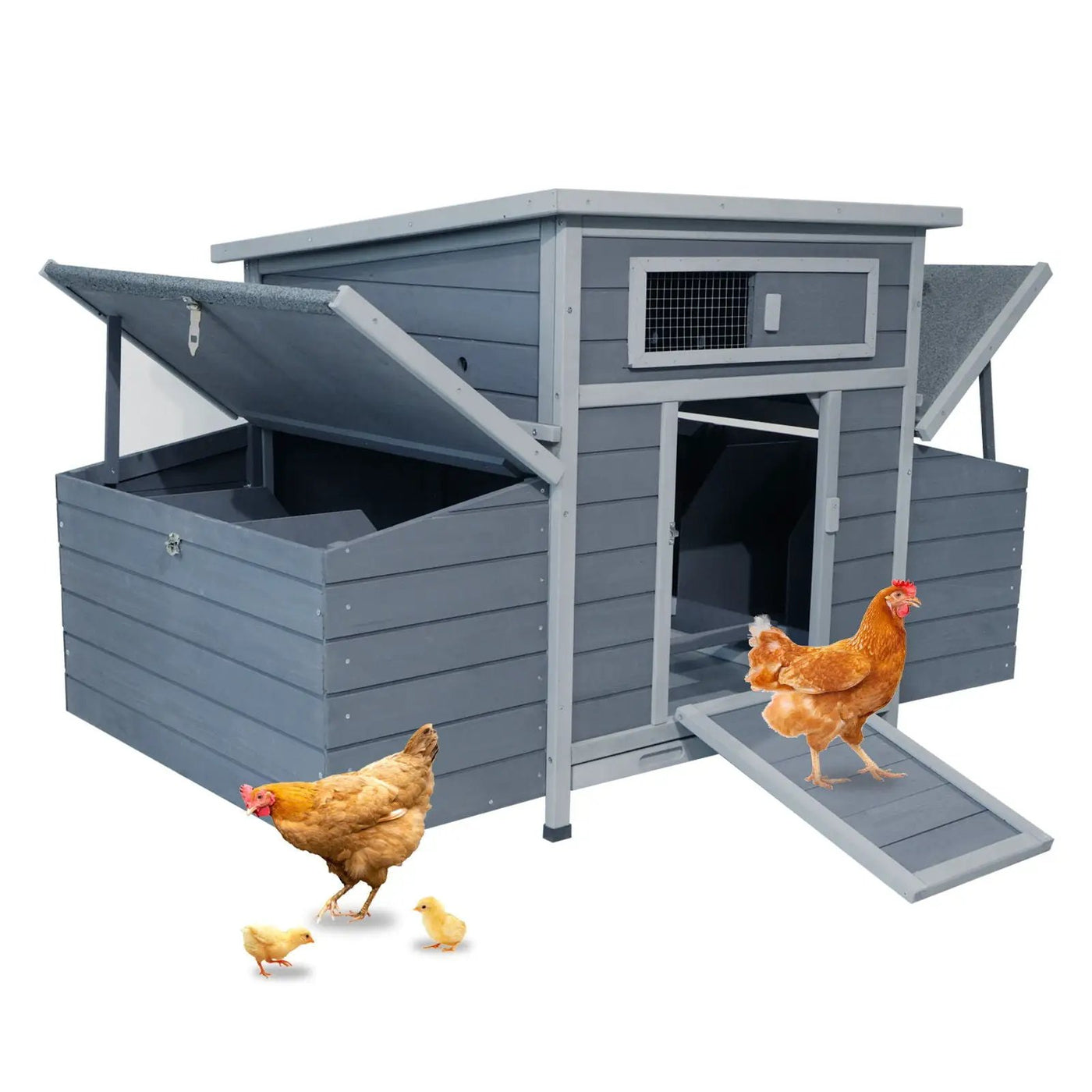 Large Chicken Coop Outdoor Hen House & Dual Nesting Boxes by HouseOfZazla