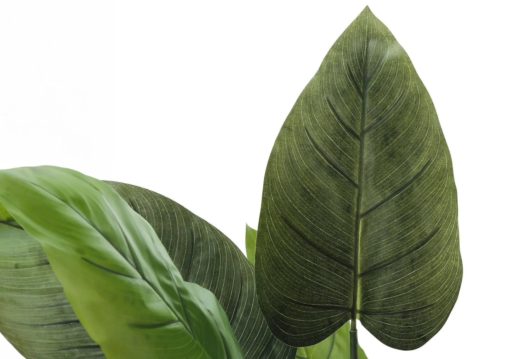 37" Tall, Artificial Plant, Aureum Tree, Indoor, Faux, Fake, Floor, Greenery, Potted, Real Touch, Decorative - Green / Black by Unique Piece Furniture
