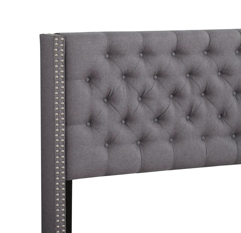 Nailhead Bed Transitional Vibrant by HouseOfZazla