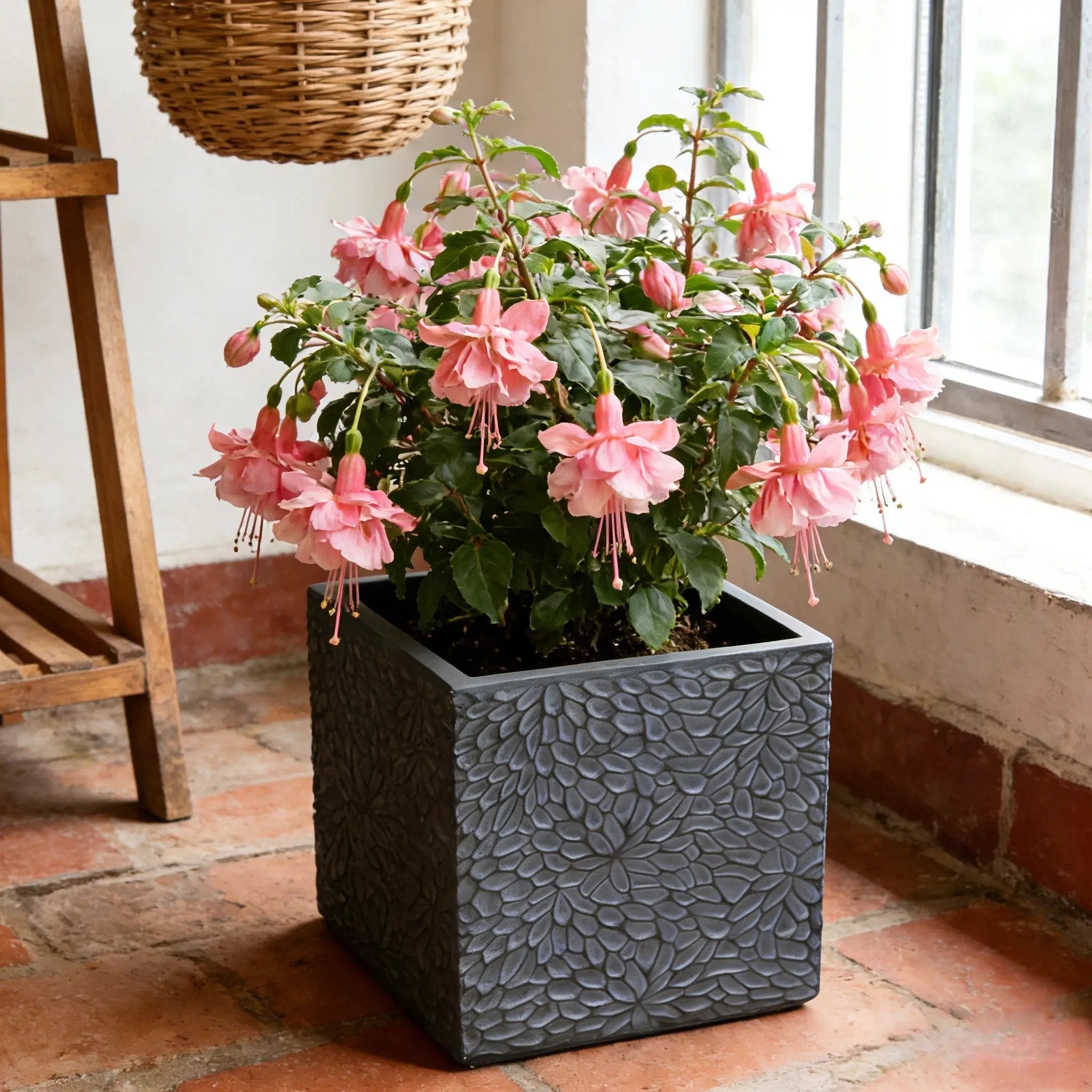 Large Outdoor Indoor Magnesium Oxide Planter Set of 4 by HouseOfZazla