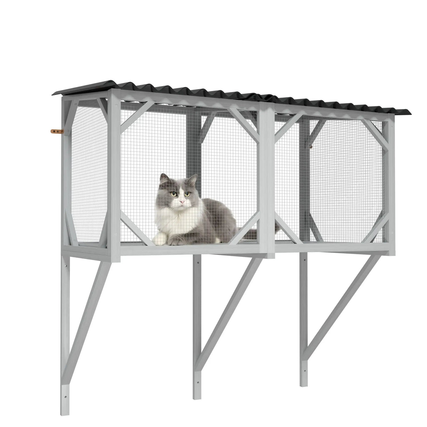 Cat Window Box by HouseOfZazla