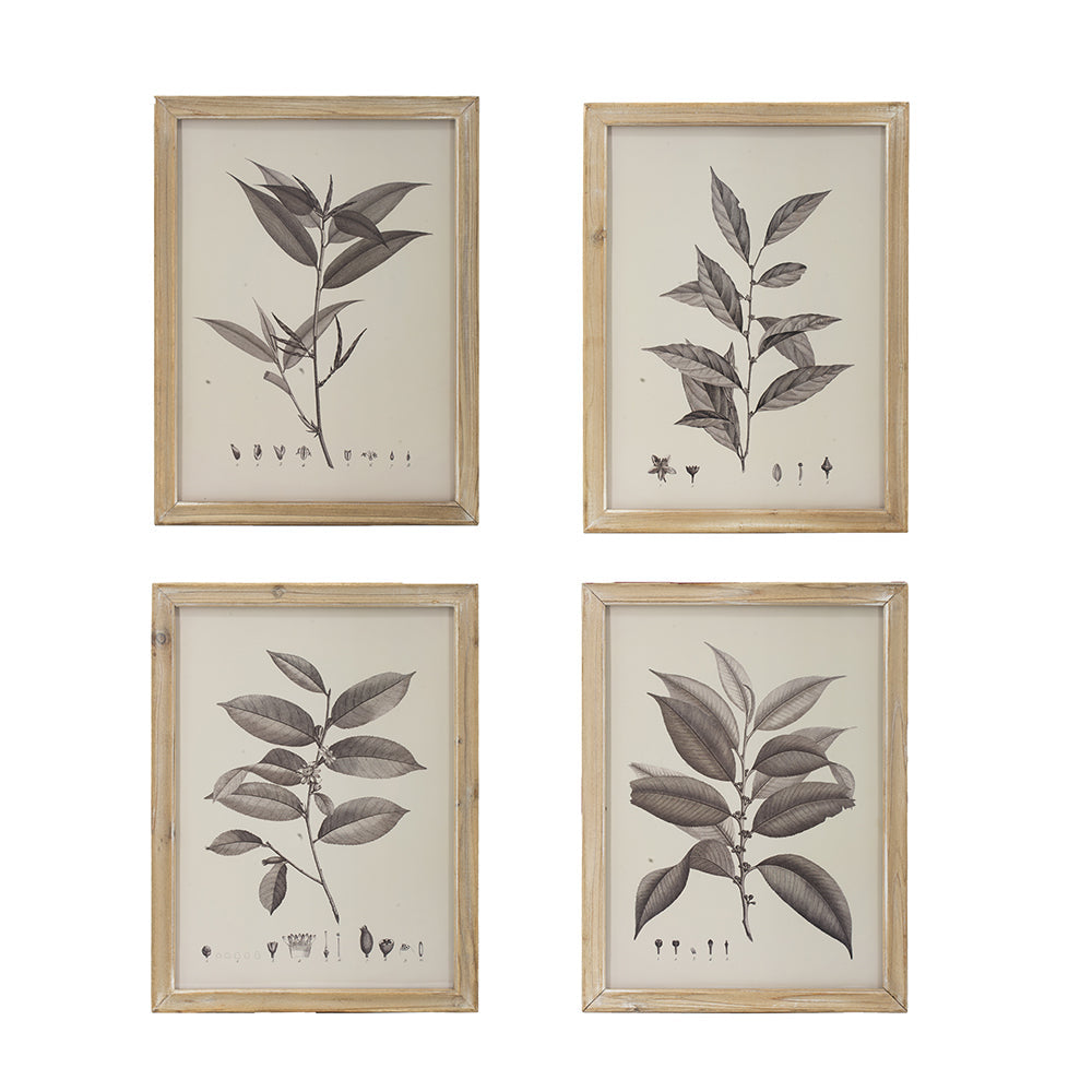 Botanical Wall Décor Set of 4 with Leaf Illustrations - Black & White, photo 2 of 10