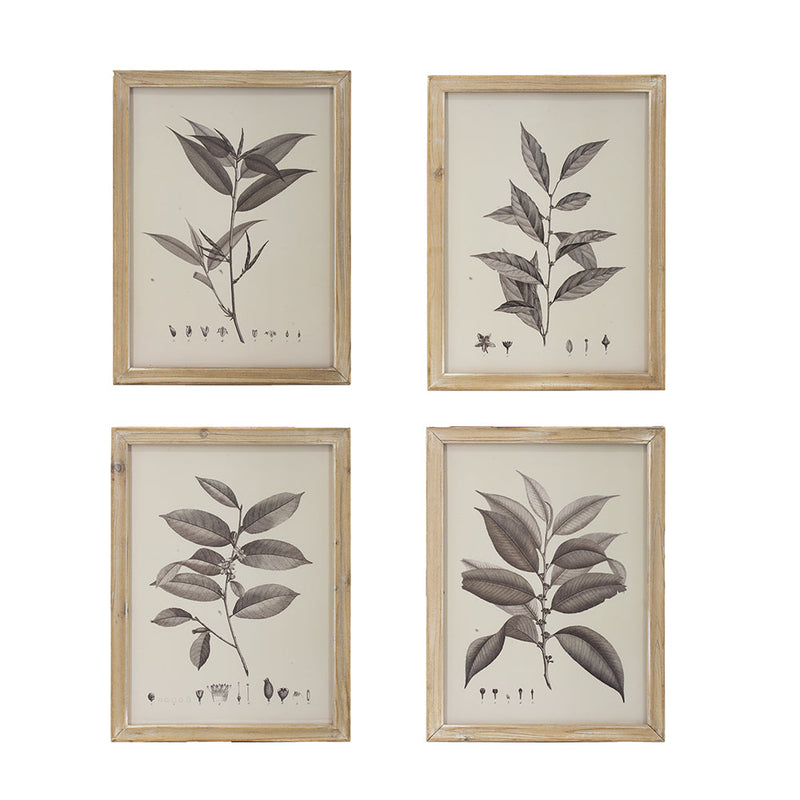 Botanical Wall Décor Set of 4 with Leaf Illustrations - Black & White, photo 2 of 10