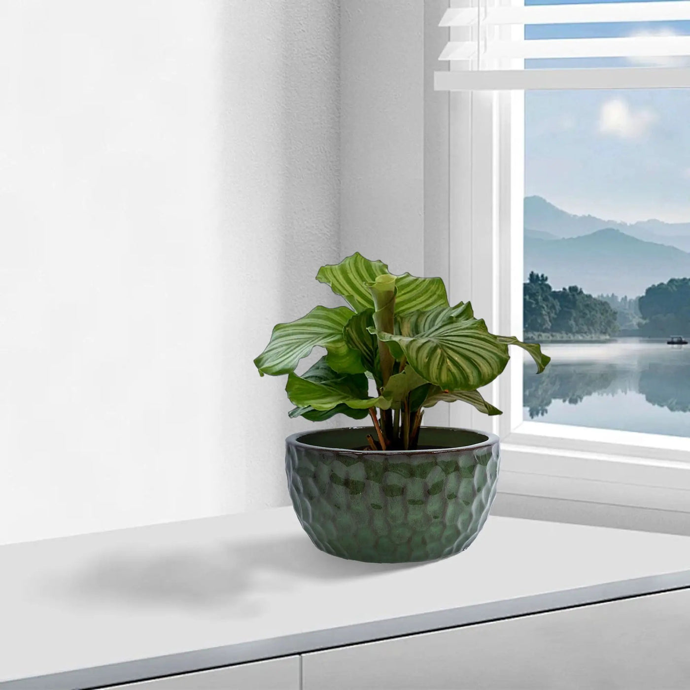 3 Pieces Ceramic Flowerpot by HouseOfZazla