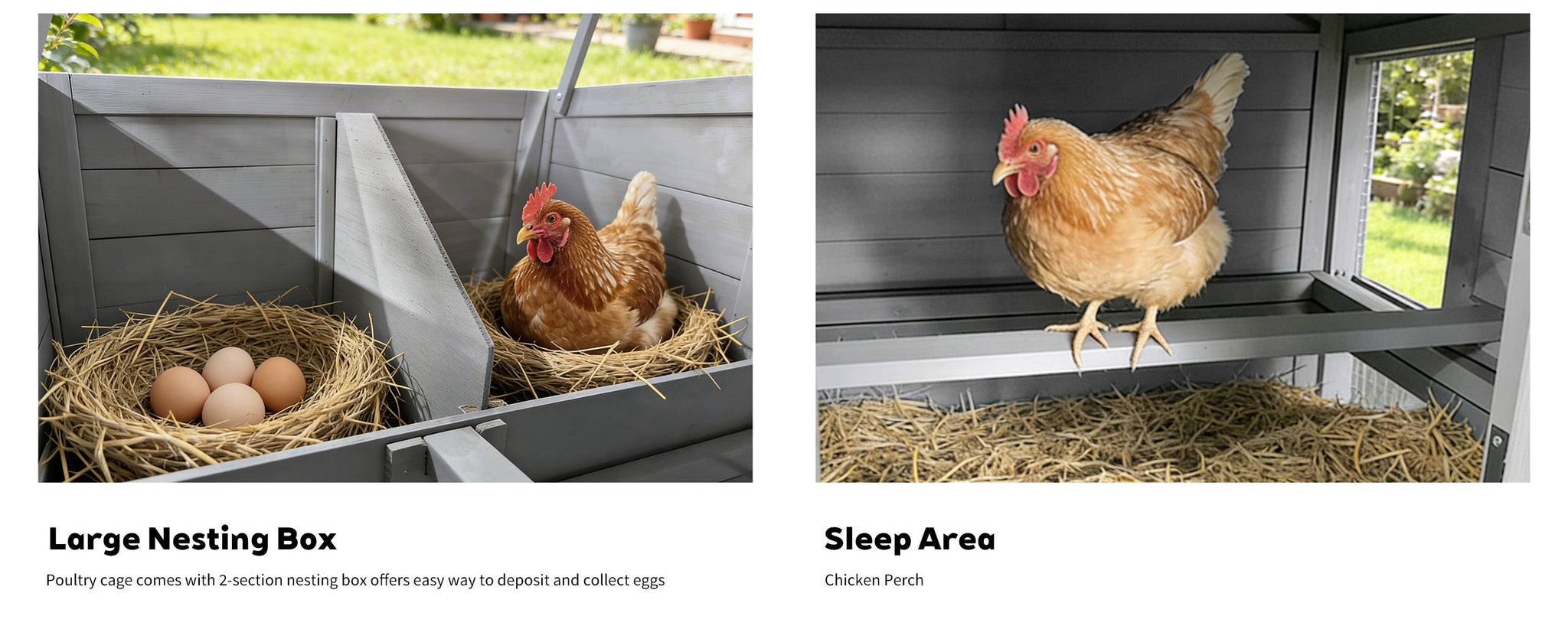 141" Gray Large Wooden Chicken Coop with Nesting Box by HouseOfZazla