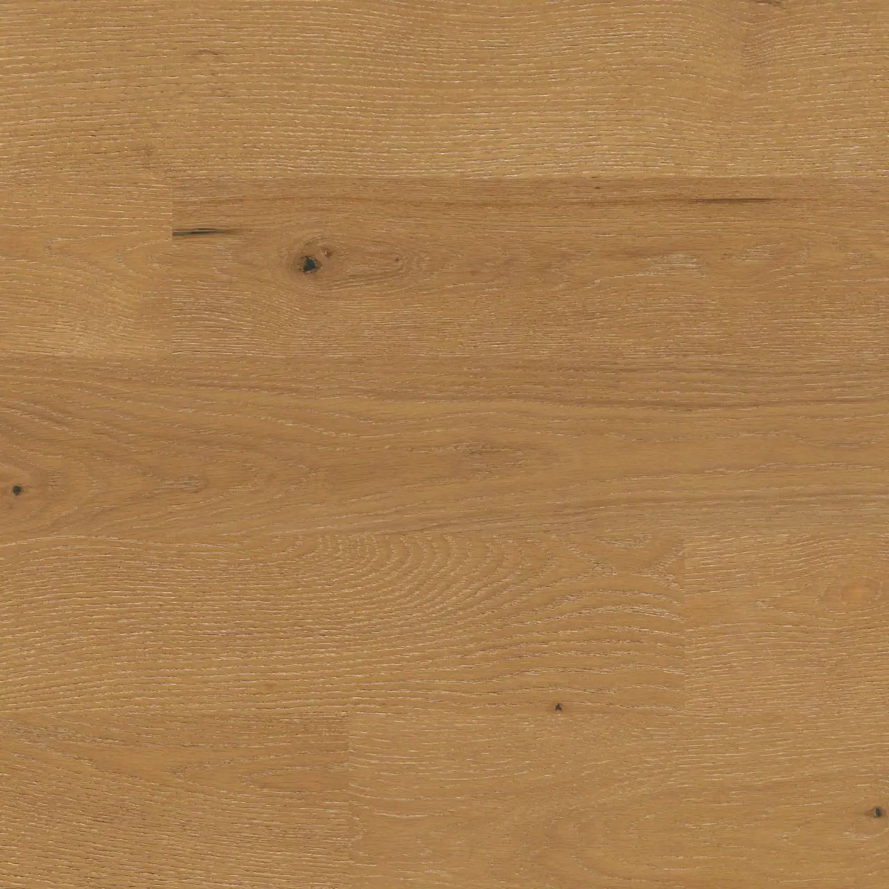 Kelmore Mesa Ridge Matte Wood Look Planks 7x48 close up