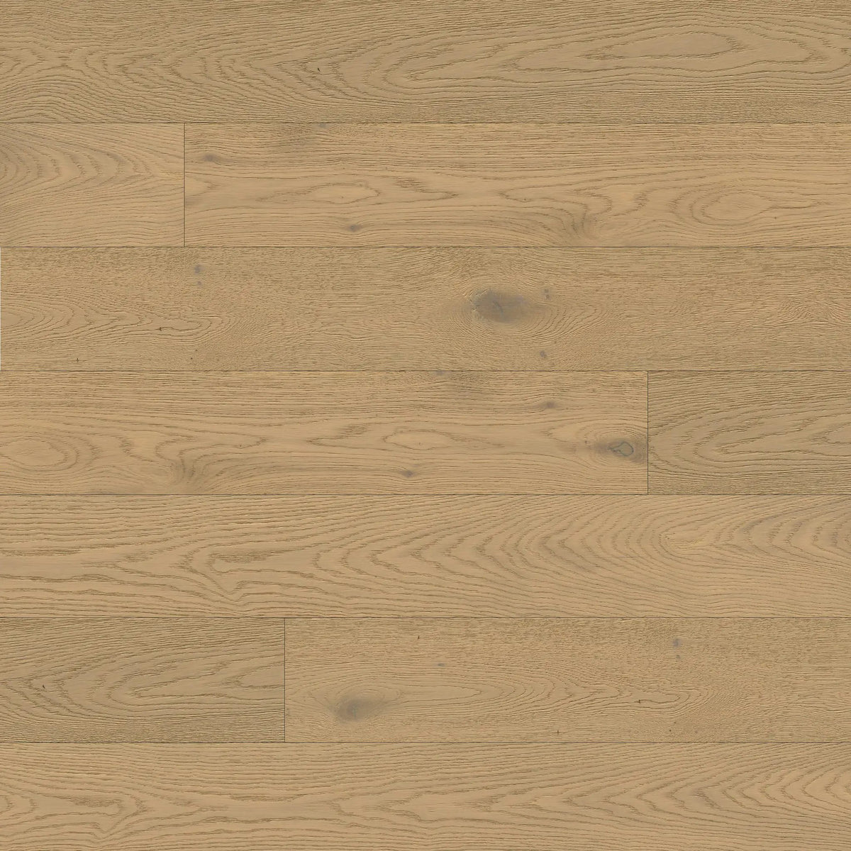 Mccarran Talren Matte Wood Look Planks 9.5x86 by MSI Surfaces