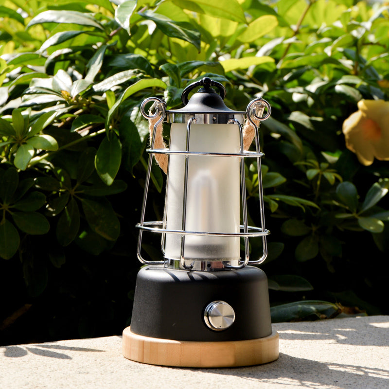 TRU De-LIGHT YOU&ME LED, Dimmable, Color Temperature & Brightness Adjustable, Rechargeable LED Lamp, photo 9 of 14