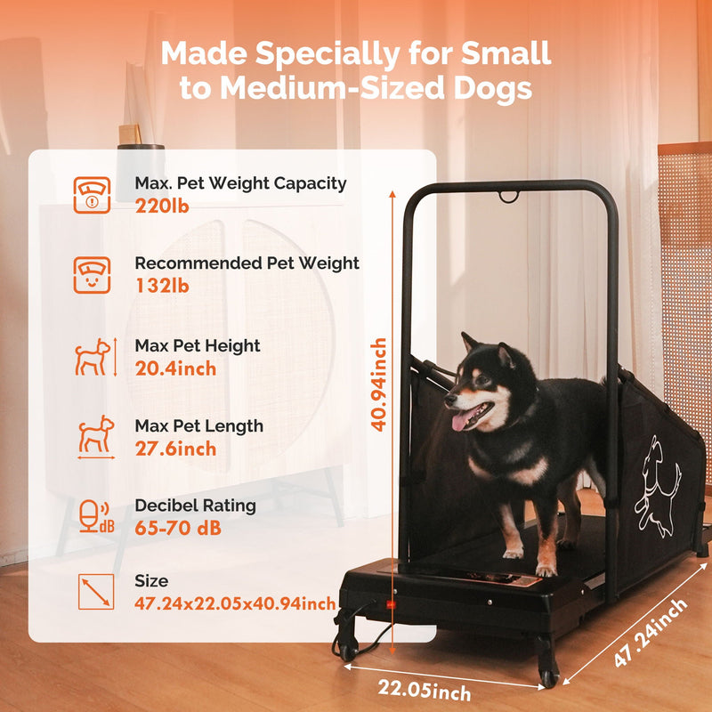 Dog Treadmill For Medium Dogs Running Machine With Non Slip Belt And Remote Control - Black by HouseOfZazla