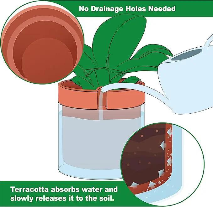 Phoenix Vine 8 Inch Self Watering Planter Pot, Terracotta Clay Pot with Glass Reservoir for Indoor Plants, Herbs, Flowers, Set of 1, 52-A-H-1 by GreenHaven Gardens