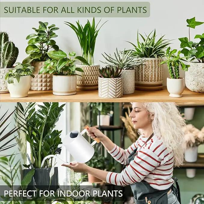 Watering Can Indoor Plants, 35oz Small Watering Can Indoor Stainless Steel Metal Watering Can Modern Decorative Watering Pot with Long Spout for Indoor House Plant Bonsai Outdoor Garden Flowers -White by GreenHaven Gardens