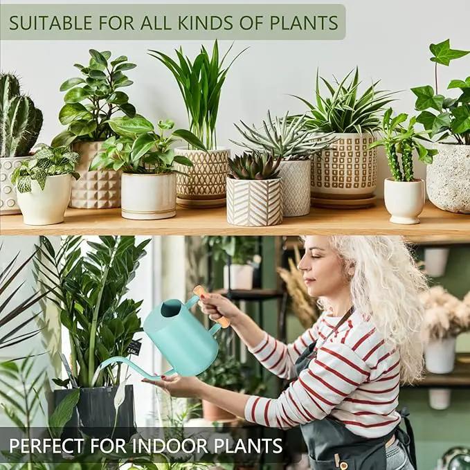 Watering Can Indoor Plants, 35oz Small Watering Can Indoor Stainless Steel Metal Watering Can Modern Decorative Watering Pot with Long Spout for Indoor House Plant Bonsai Outdoor Garden Flowers -Green by GreenHaven Gardens