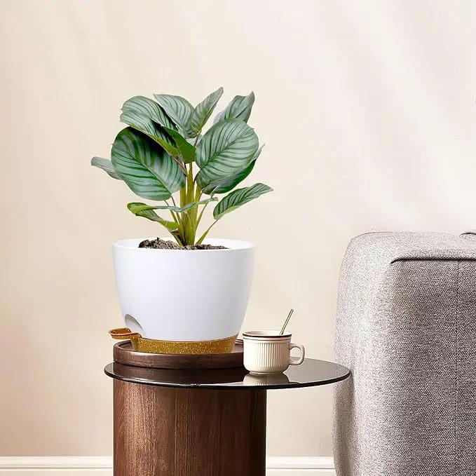 12/10/9 inch Large Self Watering Pots, Plant Pots with Mesh Drainage Holes for Indoor Outdoor Garden Plants, Flower Pots with Deep Reservoir, 3 Pack Plastic Planters, White with Brown by GreenHaven Gardens