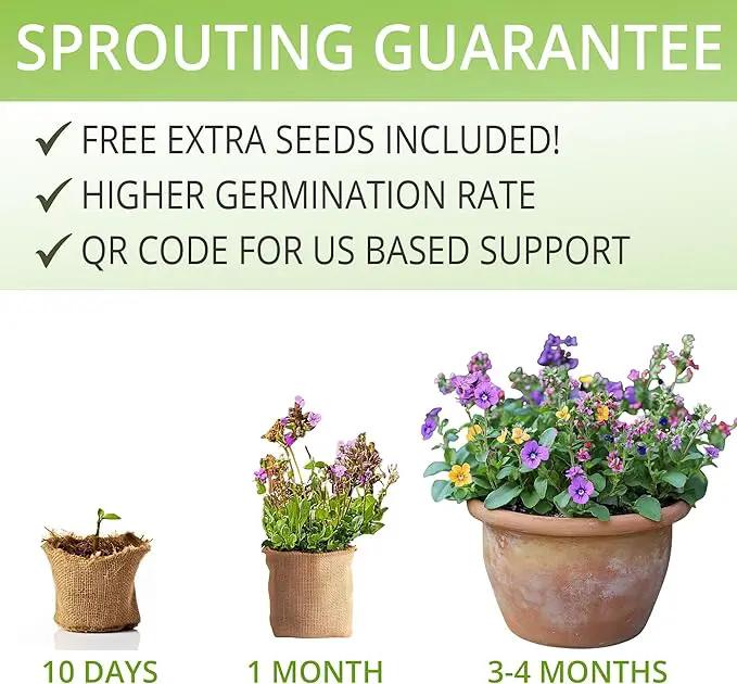 Wildflower Seed Mix Growing Kit - Includes Perennial & Annual Wild Flowers, Burlap Planters, Soil, Wooden Box, and Gardening Tools for Indoor Garden and Patio Planting by GreenHaven Gardens