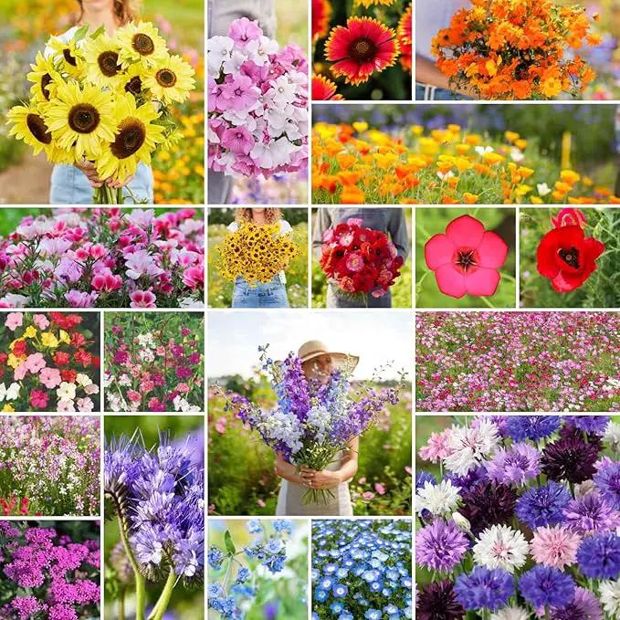 Eden Brothers All Annual Wildflower Mixed Seeds for Planting, 5 lb, 2,400,000+ Seeds with Sunflower, Indian Blanket, Scarlet Flax | Attracts Pollinators, Plant in Spring, Zones 3, 4, 5, 6, 7, 8, 9, 10 by GreenHaven Gardens