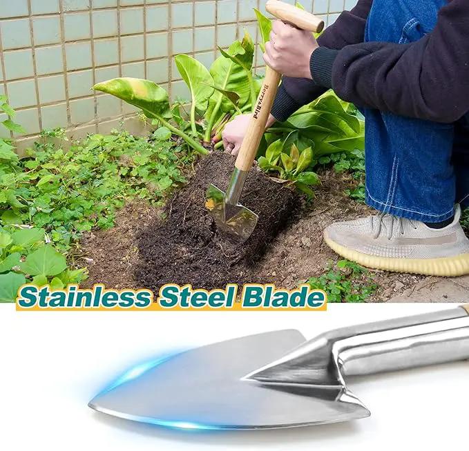 Berry&Bird Perennial Spade, 21.6''Long Trowel for Gardening Root Cutting Tool with Sharp Stainless Steel Blade, Wooden Handle Small Shovel Hand Edger Garden Tool for Planting, Digging & Transplanting by GreenHaven Gardens