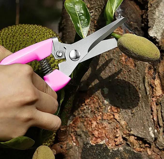 2pcs Garden Flower Shears Pruning Shears 6.9 inches Scissors Lightweight Plant Scissors for Cutting Flowers, Trimming Plants, Bonsai, Fruits Picking by GreenHaven Gardens