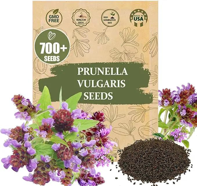 Premium Prunella Vulgaris Seeds - 700+ Non-GMO Self Heal Herb Seeds for Planting - Heirloom Medicinal Herb, Attracts Pollinators - Easy to Grow for Garden, Indoors or Outdoors (Prunella vulgaris) by GreenHaven Gardens