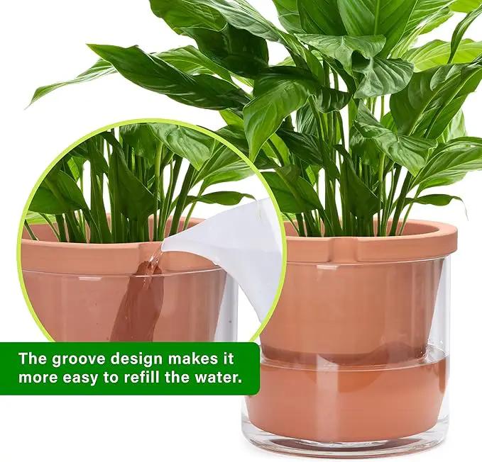 D'vine Dev 10 Inch Design Self Watering Pot for Indoor Plants, Terracotta Planter with Cylinder Glass Cup, Set of 1, 37-X-D-1 by GreenHaven Gardens