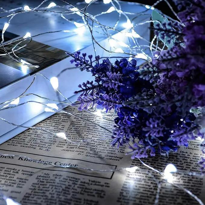 RUICHEN Cool White Dimmable Fairy Lights Plug in, Super Long 165 Ft 500 LED Twinkle String Lights with Remote, Waterproof Silver Wire Firefly Lights for Christmas Wedding Party Bedroom Patio Garden by GreenHaven Gardens
