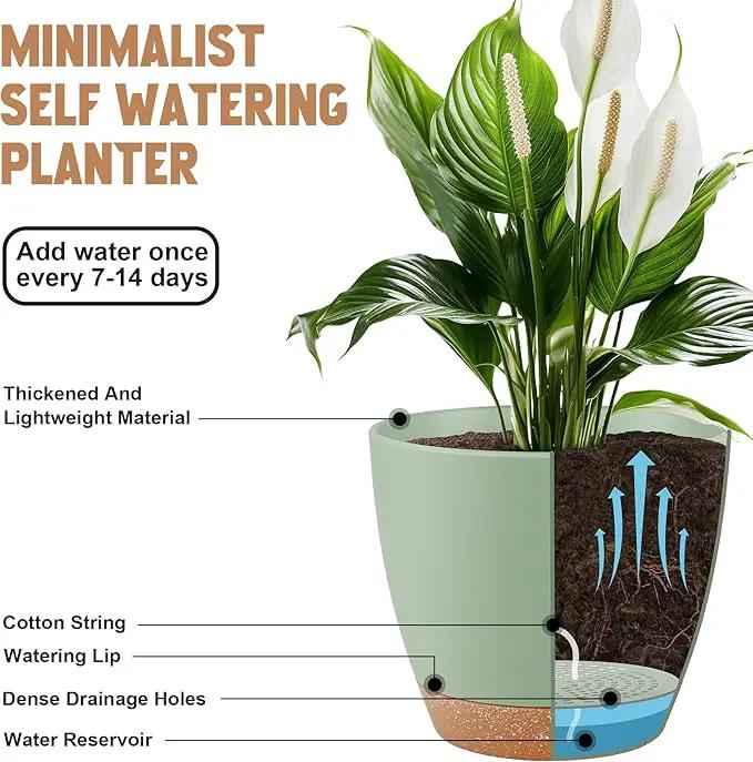 Plant Pots 8/7/6.5/6/5.5/5 Inch Self Watering Pots, Set of 6 Plastic Planters with Drainage Holes and Saucers,Plastic Flower Pots,Nursery Planting Pot for Indoor Out Door Plants（Green） by GreenHaven Gardens